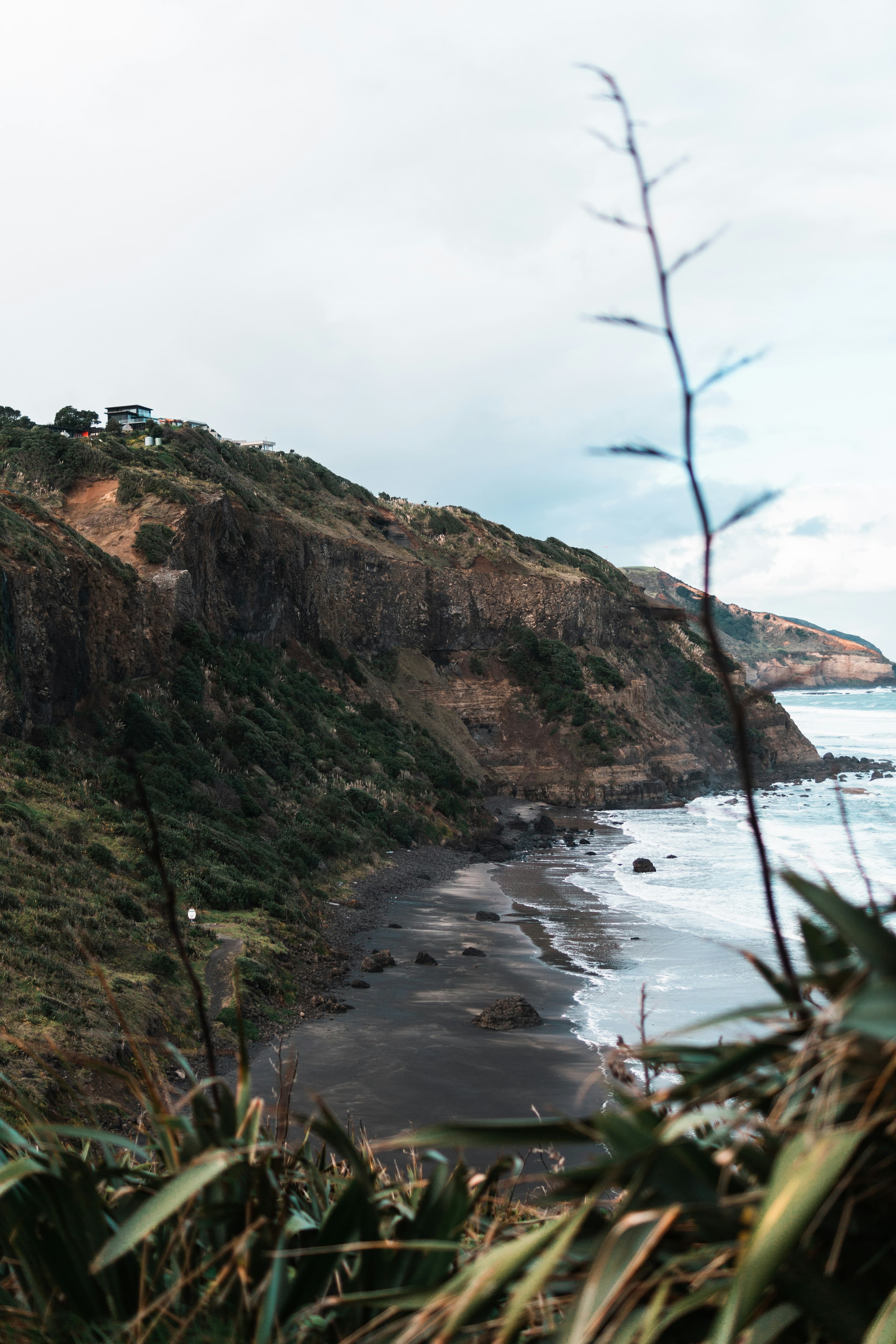 New Zealand beach with native greenery
