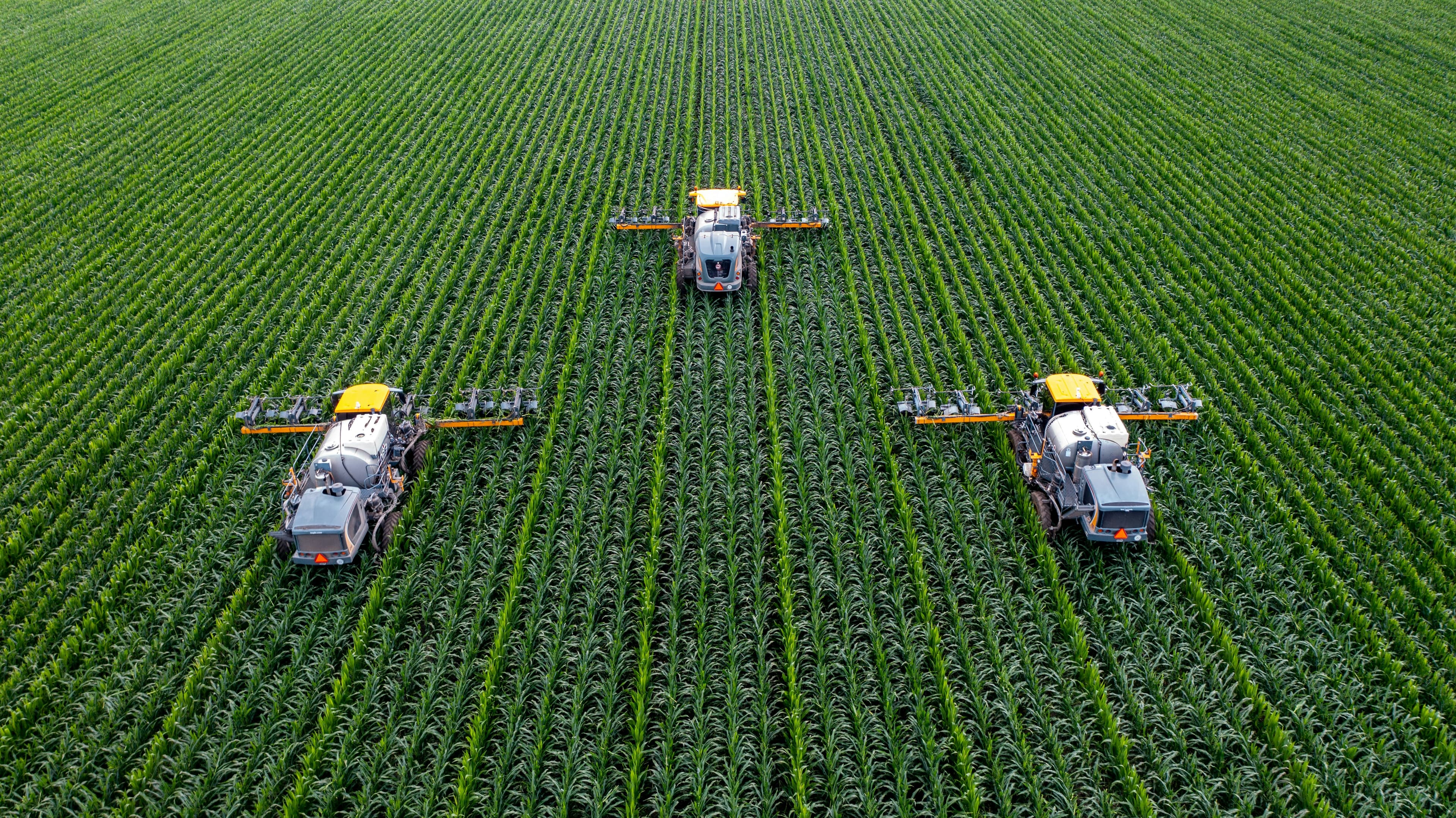 Three heavy agriculture spraying vehicles spraying a single green crop in unison